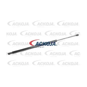 A38-0134 ACKOJA