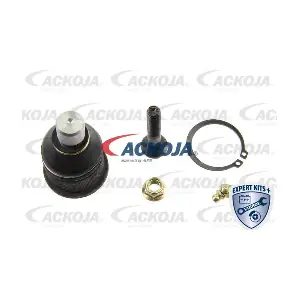 A32-1187 ACKOJA