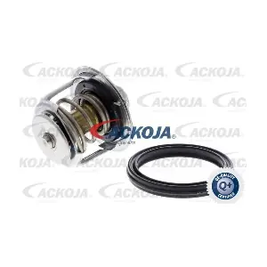 A52-99-0016 ACKOJA