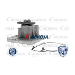 A53-50003 ACKOJA
