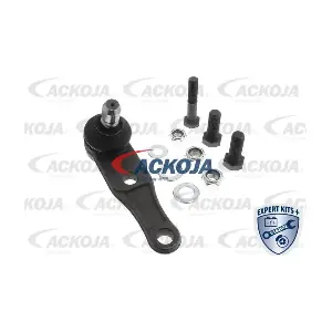 A53-9502 ACKOJA
