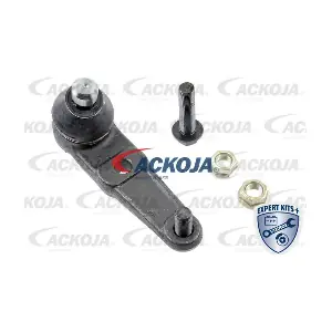 A32-1157 ACKOJA