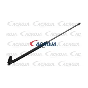 A32-0074 ACKOJA