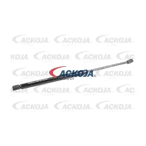A52-0099 ACKOJA