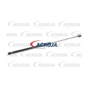 A37-0061 ACKOJA