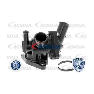 A70-99-0032 ACKOJA
