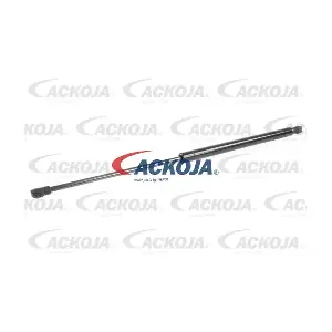 A70-0101 ACKOJA
