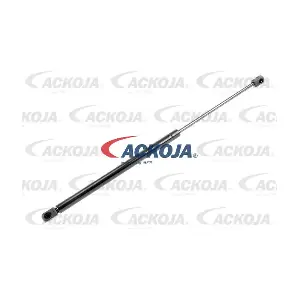 A38-0135 ACKOJA