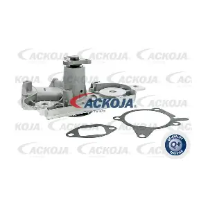 A32-50003 ACKOJA