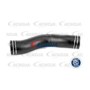 A38-0297 ACKOJA
