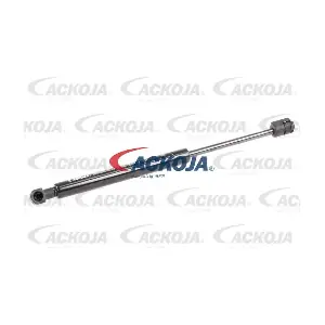 A52-0111 ACKOJA