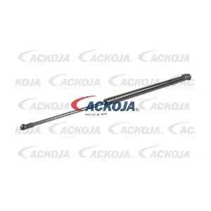 A70-0193 ACKOJA