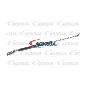 A32-0034 ACKOJA