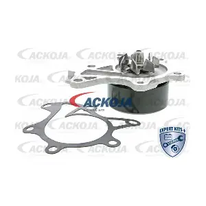 A70-50024 ACKOJA