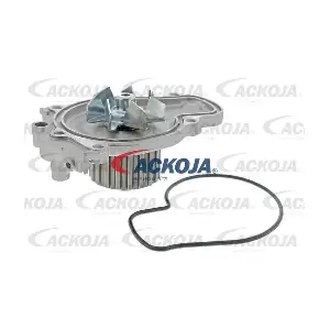 A26-50014 ACKOJA