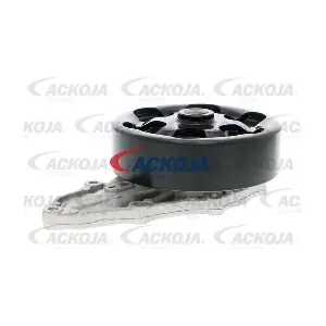 A26-50009 ACKOJA