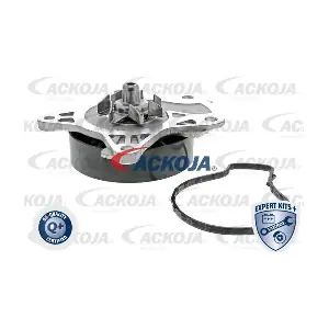 A70-50006 ACKOJA