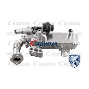 A38-63-0004 ACKOJA