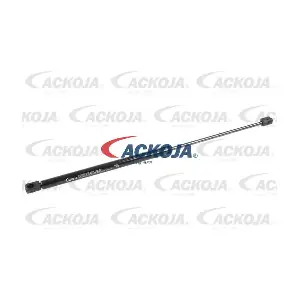 A38-0133 ACKOJA
