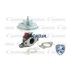 A52-63-0002 ACKOJA