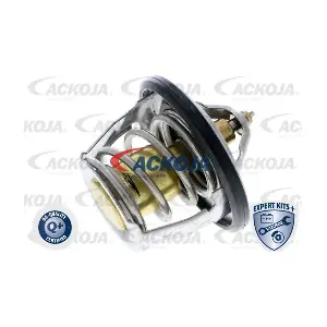 A63-99-0001 ACKOJA