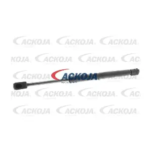 A38-0071 ACKOJA