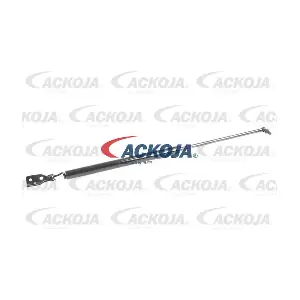 ACKOJA A32-0095