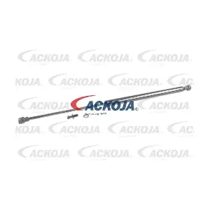 A70-0111 ACKOJA