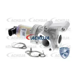 A52-63-0014 ACKOJA