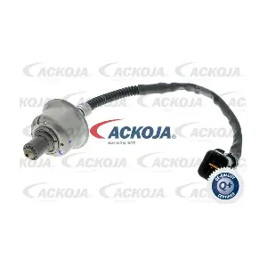 A52-76-0020 ACKOJA