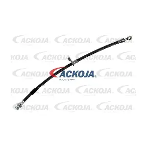 A37-9561 ACKOJA