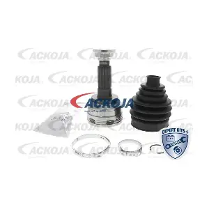A32-0117 ACKOJA