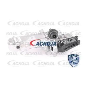 A64-63-0001 ACKOJA