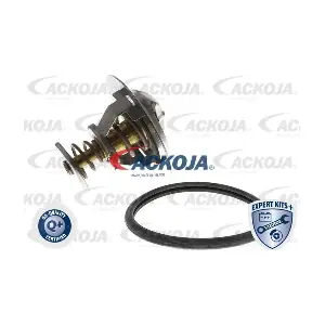 ACKOJA A52-99-0005