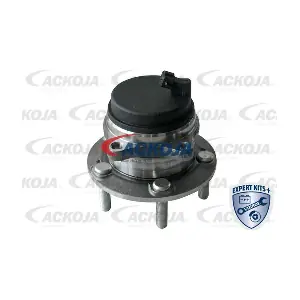 A52-0251 ACKOJA