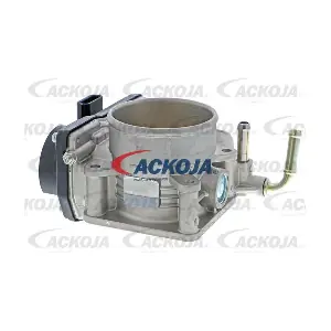 A38-81-0005 ACKOJA