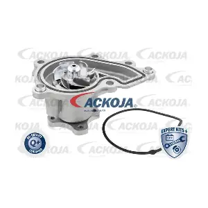 A53-0700 ACKOJA