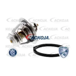 A53-99-0011 ACKOJA