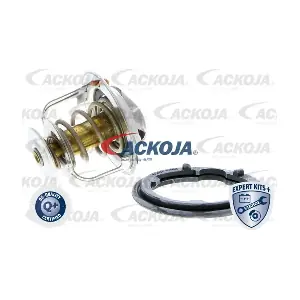 A26-99-0009 ACKOJA
