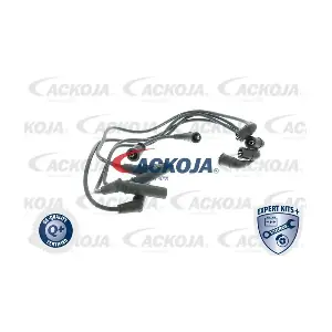 A52-70-0036 ACKOJA