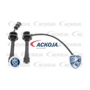 A53-70-0009 ACKOJA