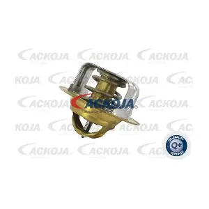 ACKOJA A32-99-1704