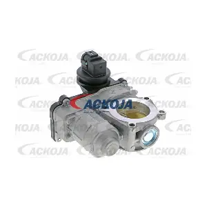 A38-81-0002 ACKOJA
