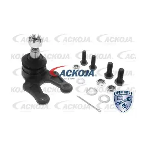 A70-9506 ACKOJA