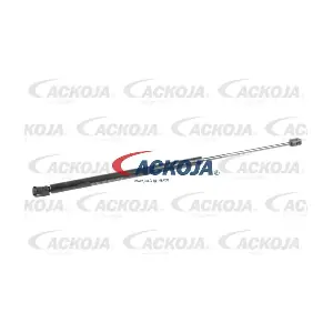 ACKOJA A26-0099