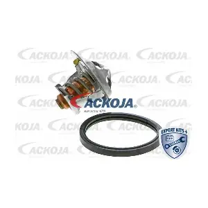 ACKOJA A64-99-0006