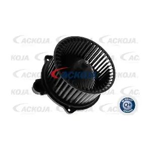 A53-03-0004 ACKOJA