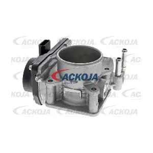 A38-81-0006 ACKOJA