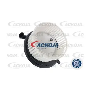 A51-03-0001 ACKOJA