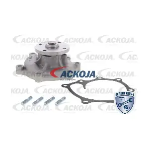 A53-50004 ACKOJA